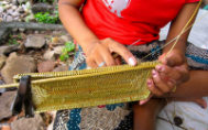 indonesia